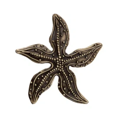 Acorn Beaded Starfish Cabinet Knob In Antique Brass