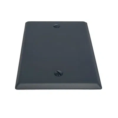 Acorn Blank Wall Plate In Matte Black