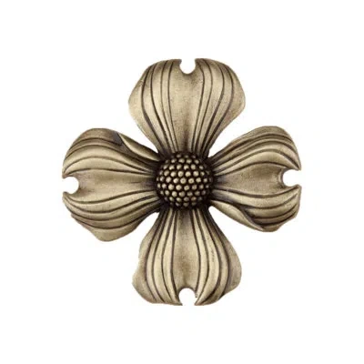 Acorn Dogwood Cabinet Knob In Antique Brass