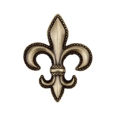 Acorn Fleur-de-lis Cabinet Knob In Antique Brass