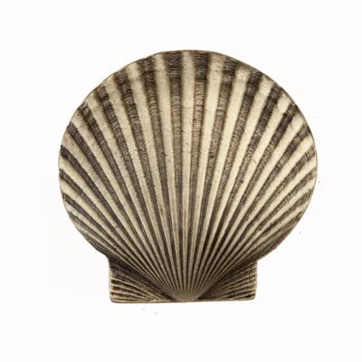 Acorn Large Scallop Cabinet Knob In Antique Brass