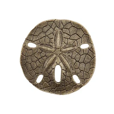 Acorn Sand Dollar Cabinet Knob In Antique Brass