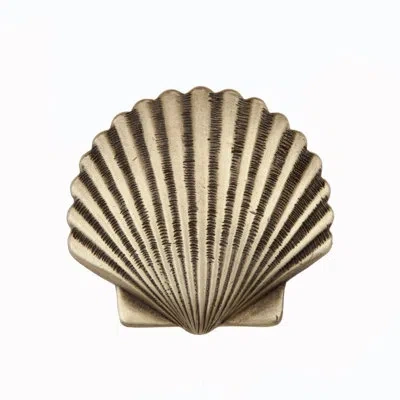 Acorn Small Scallop Cabinet Knob In Antique Brass