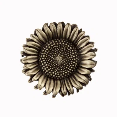Acorn Sunflower Cabinet Knob In Antique Brass