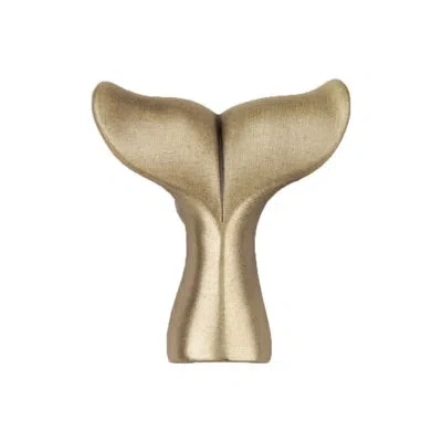 Acorn Whale Tail Cabinet Knob In Antique Brass