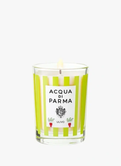 Acqua Di Parma Ulivo Scented Candle 7 Oz. In Green