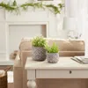 Actifo Cement Flower Pot Set Taupe Scallop Design - Brown