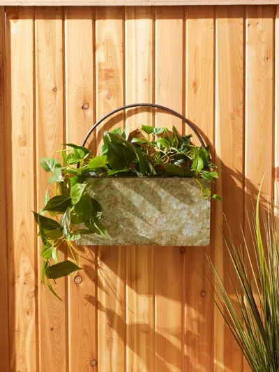 Actifo Galvanized Metal Wall Planter - Grey In Green