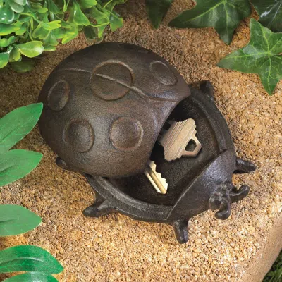 Actifo Ladybug Key Hider - Dark Brown
