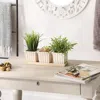 Actifo Mini Planter Set Ivory Square - Light Beige