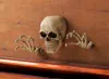 Actifo Skeleton Wall Decor Set - White