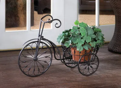 Actifo Tricycle Plant Stand - Black