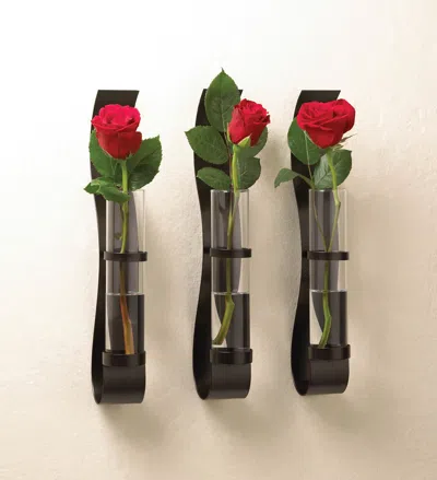 Actifo Wall Vases With Glass Cylinders Set Of 3 - Black