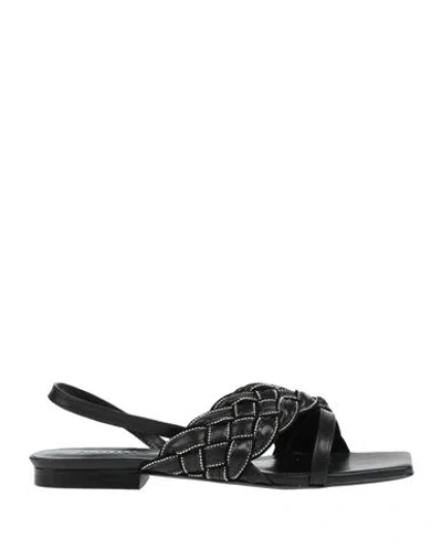 Actitude By Twinset Woman Sandals Black Size 7 Synthetisches Material