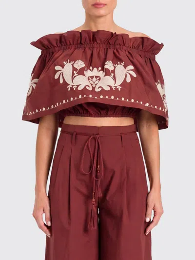 Actitude Twinset Liberty Cotton Crop Top In Brown