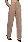 Active Basic Suede Straight Leg Pants In Beige In Neutral