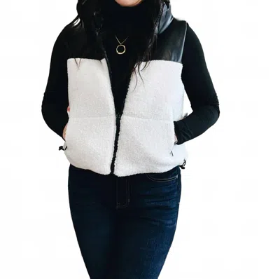 Active Basic The Armor & Ascent Vest In Black In Multi