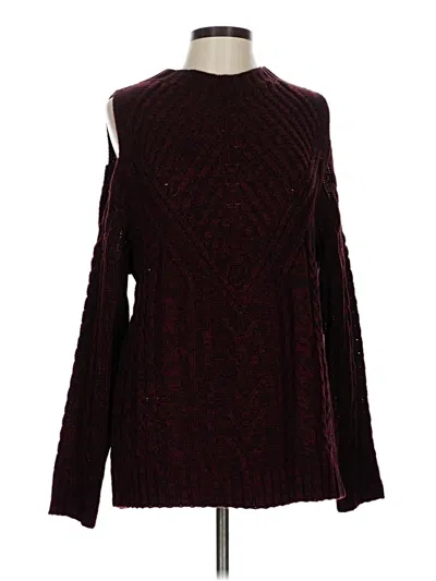 Active Usa Turtleneck Sweater In Burgundy