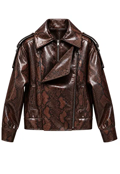 Actualee Bomber Pitonato  In Brown