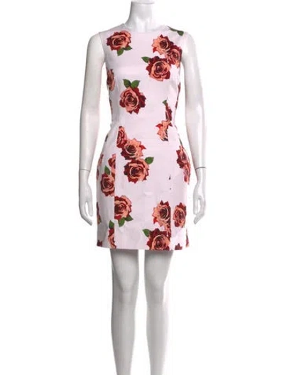 Pre-owned Adam Lippes Floral Print Mini Dress In Multicolor