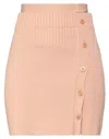 Adamo Andrea Adamo Mini Skirts In Pink