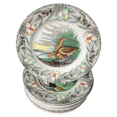 Pre-owned Adams Set Of Twelve Audubon Birds Of America Plates In Gray