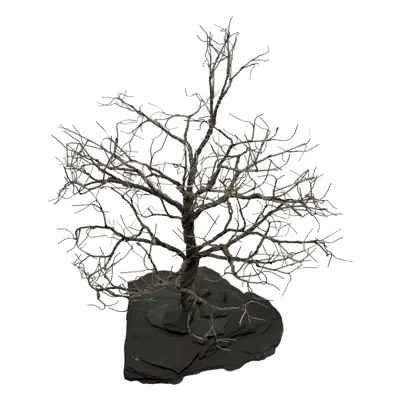 Pre-owned Adams Silver Plate Tree Sculpture By  In Black