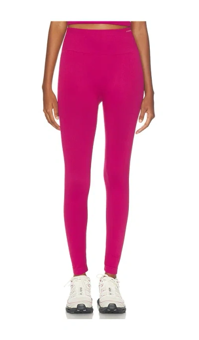 Adanola Classic Seamless Leggings In Pink