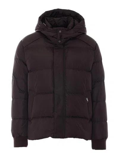 Add Chaqueta Alcochada - Marrón
