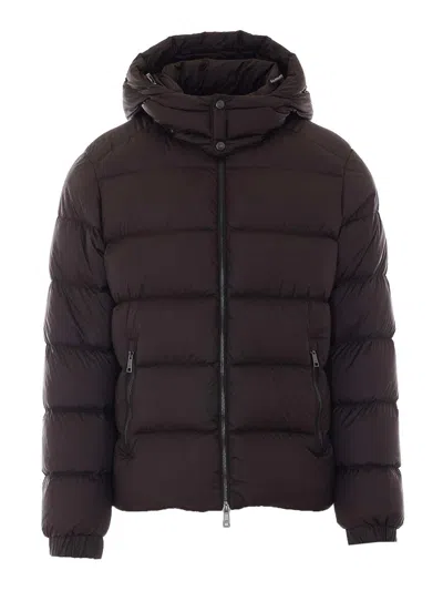 Add Chaqueta Alcochada - Marrón