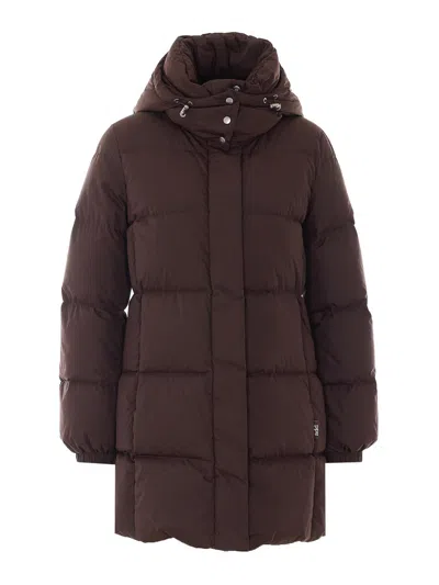 Add Chaqueta Alcochada - Marrón