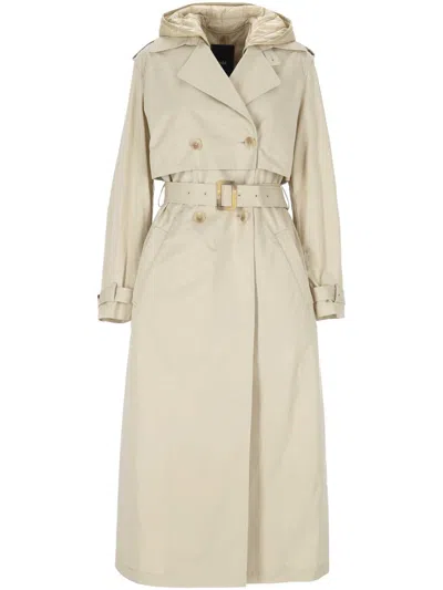 Add Coats