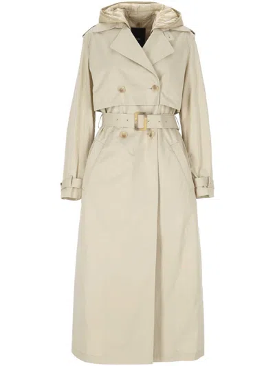 Add Coats