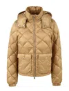 Add Coats In Brown