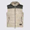 Add Coats Climbing Ivy In Multi