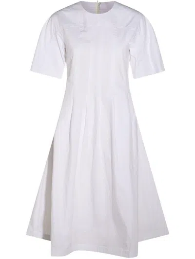 ADD ADD DRESSES