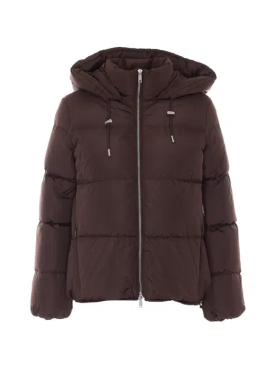 Add Hooded Ped Coat In Brown