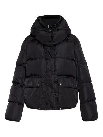 Add Hooded Puffer Jacket In Black