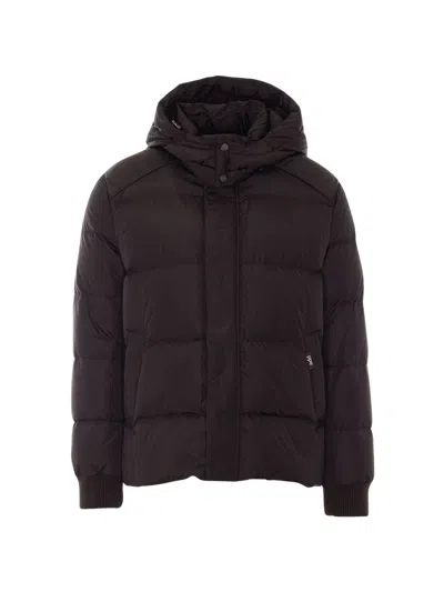 Add Quilted Down Jacket With High Neck And Hood In Brown