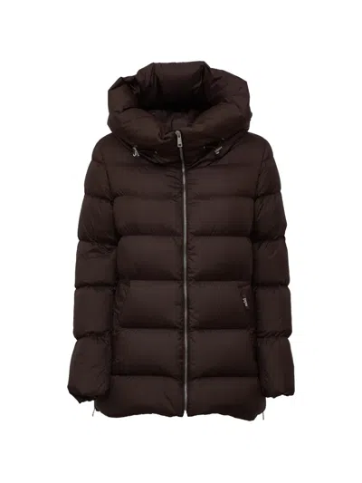 Add Quilted Hooded Down Jacket In Brown