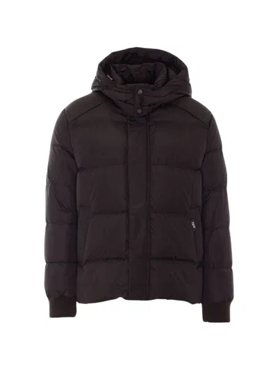 Add Quilted Hooded Puffer Jacket In Purple