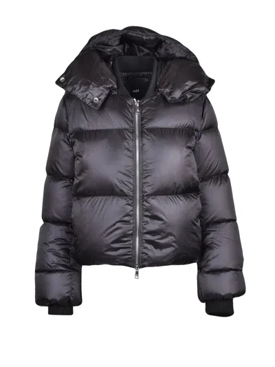 Add Quilted Short Down Jacket With Zip Closure And Ribbed Cuffs In Gray