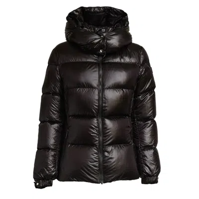 ADD SCULPTED DOWN COAT WITH REMOVABLE HOOD AND REFINED DETAILING