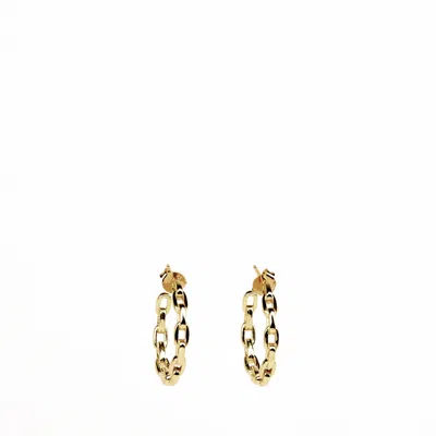 Addicted2 Women's Concordia Stud Chain Gold Plated Earrings In Gray