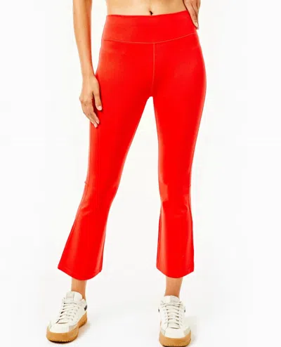 Addison Bay Women's University Pants In Poppy In Red