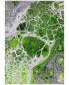 Addison Chantille Acn682 9'x12' Area Rug In Lime
