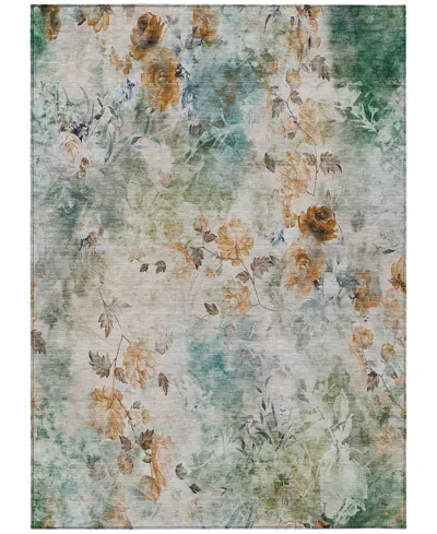 ADDISON CHANTILLE MACHINE WASHABLE ACN724 9'X12' AREA RUG