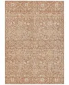 Addison Chantille Machine Washable Acn1133 10'x14' Area Rug In Coral