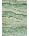 Addison Chantille Machine Washable Acn1248 10'x14' Area Rug