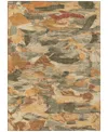Addison Chantille Machine Washable Acn1345 5'x7'6" Area Rug